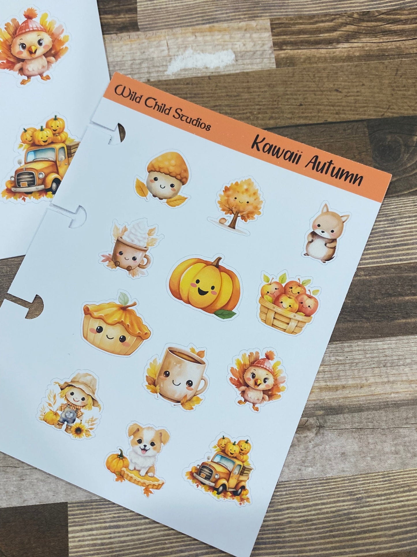 Kawaii Fall Planner Stickers/Cute Autumn Planner Stickers