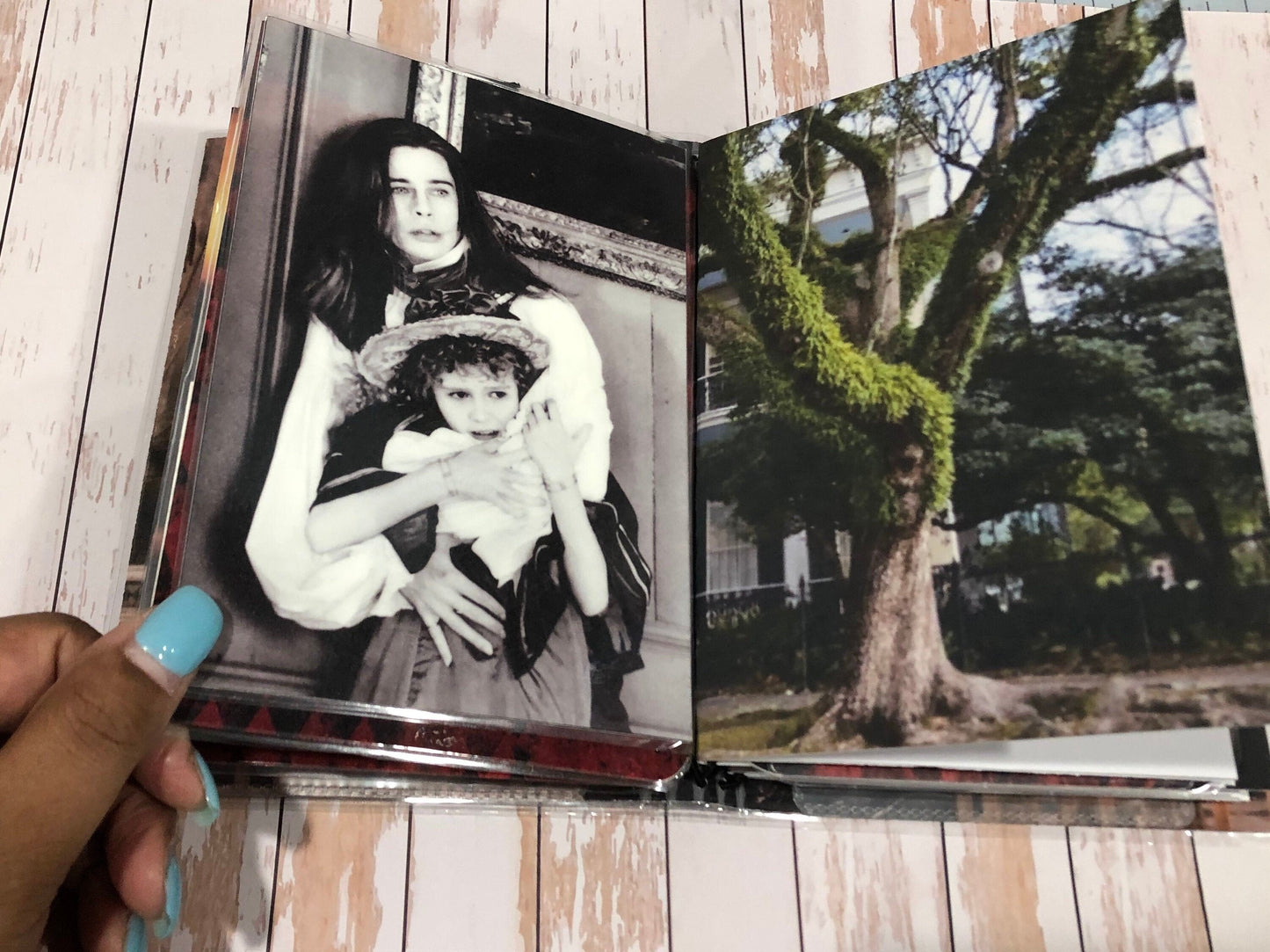 Vampire Novel Inspired B6 TN/B6 Travelers Notebook