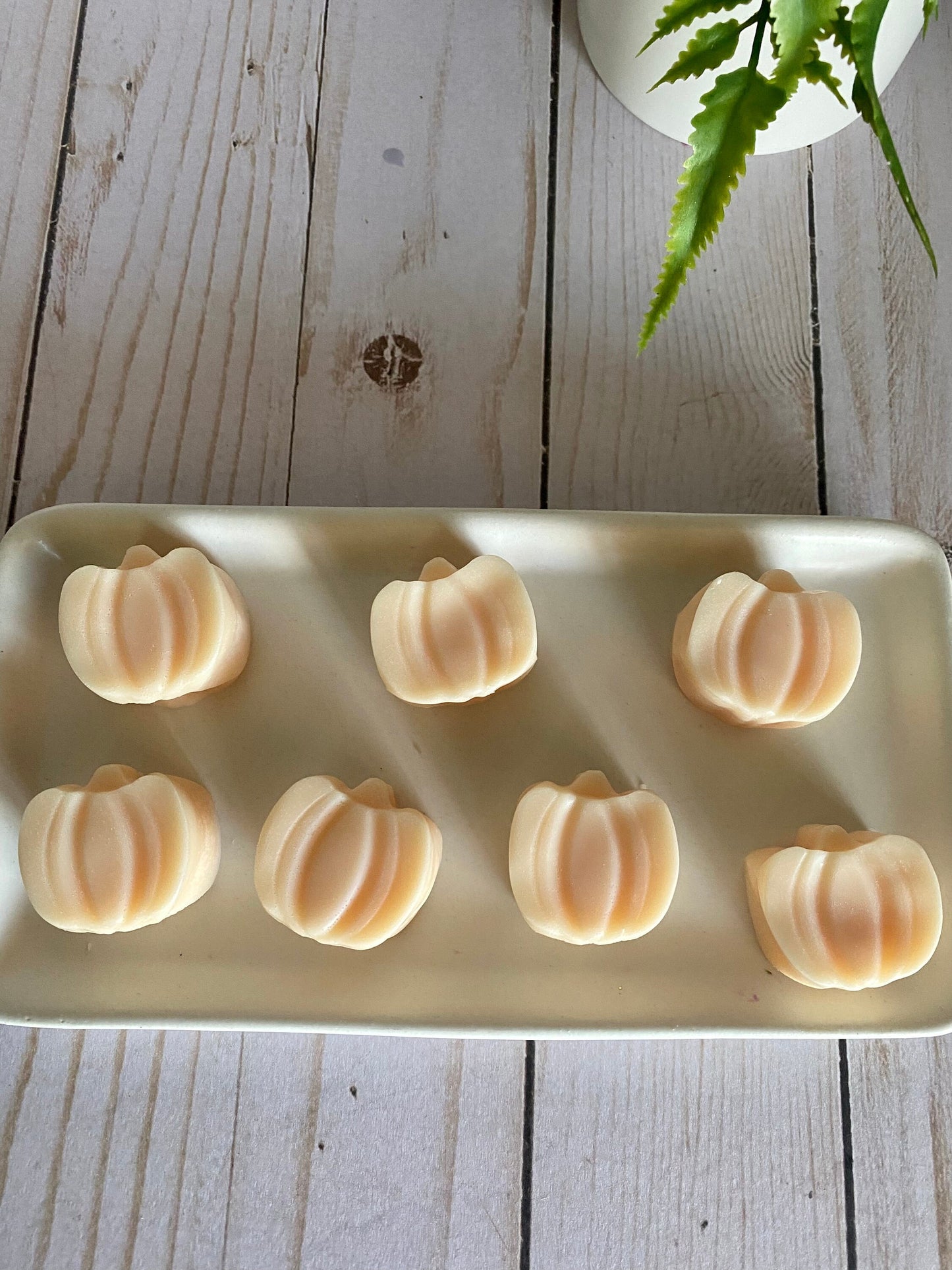 Mini Pumpkin Wax Melts