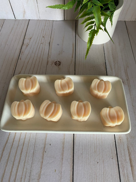 Mini Pumpkin Wax Melts