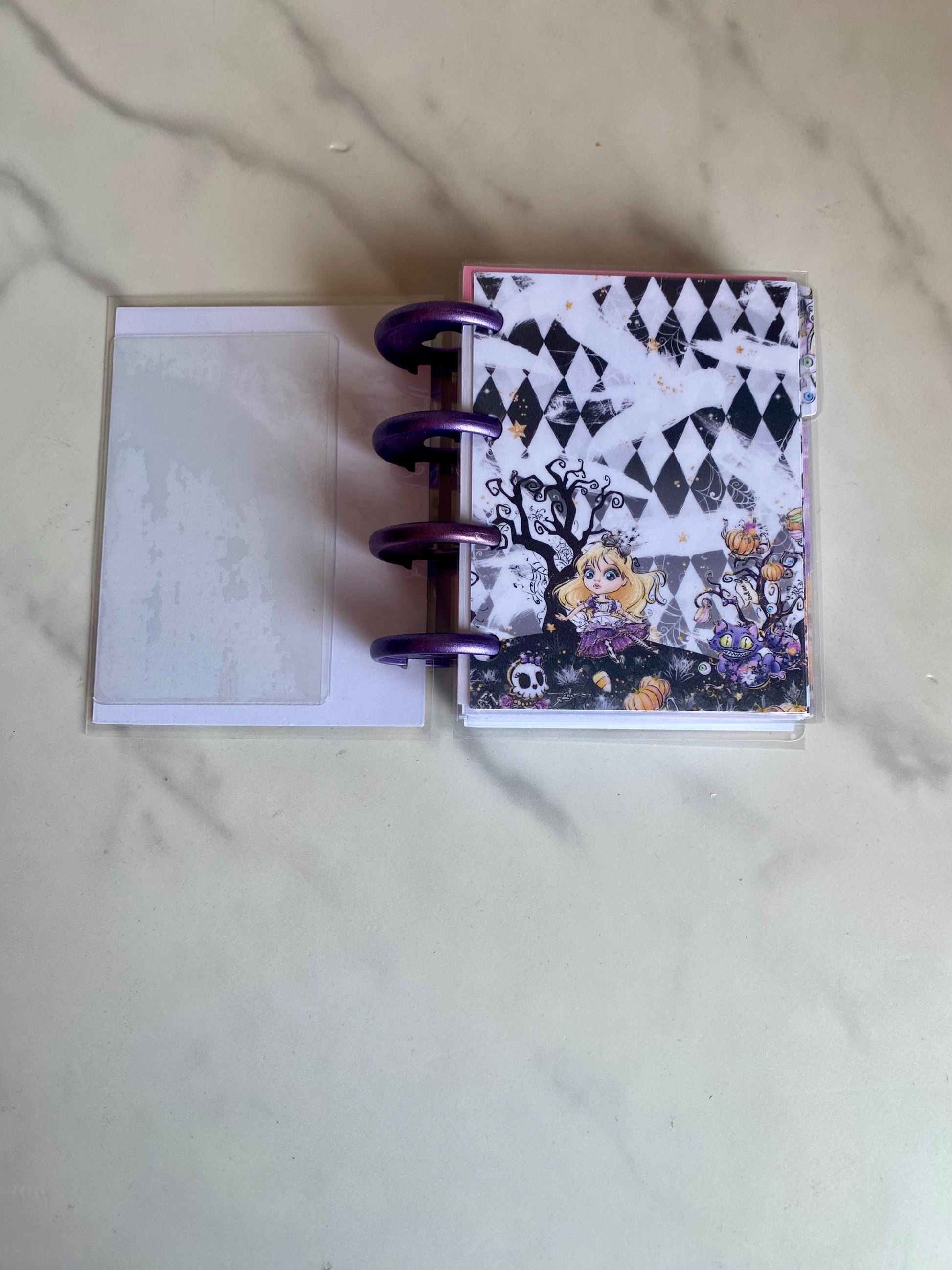 Wicked In Wonderland Inspired Happy Planner Micro Planner