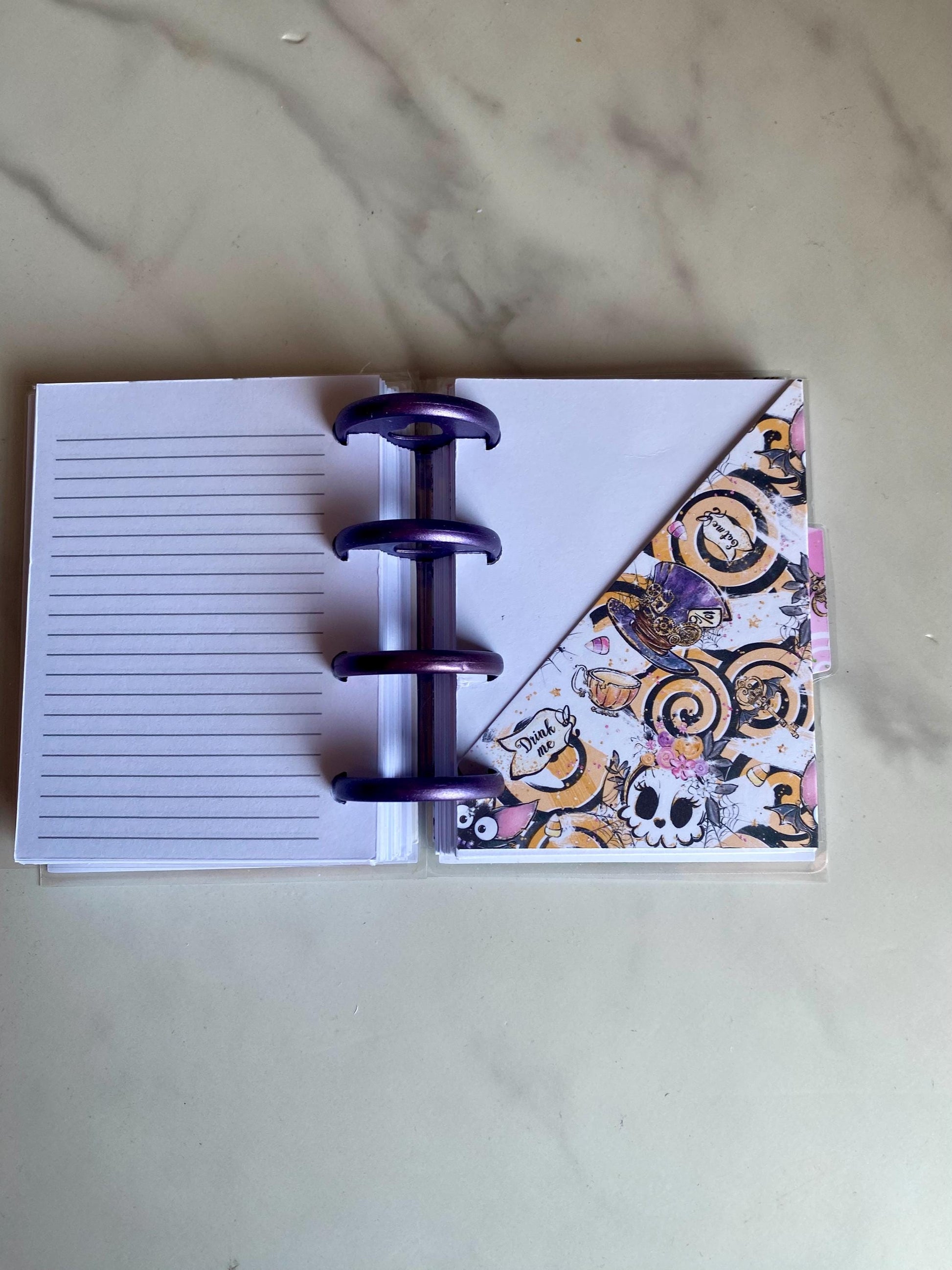 Wicked In Wonderland Inspired Happy Planner Micro Planner