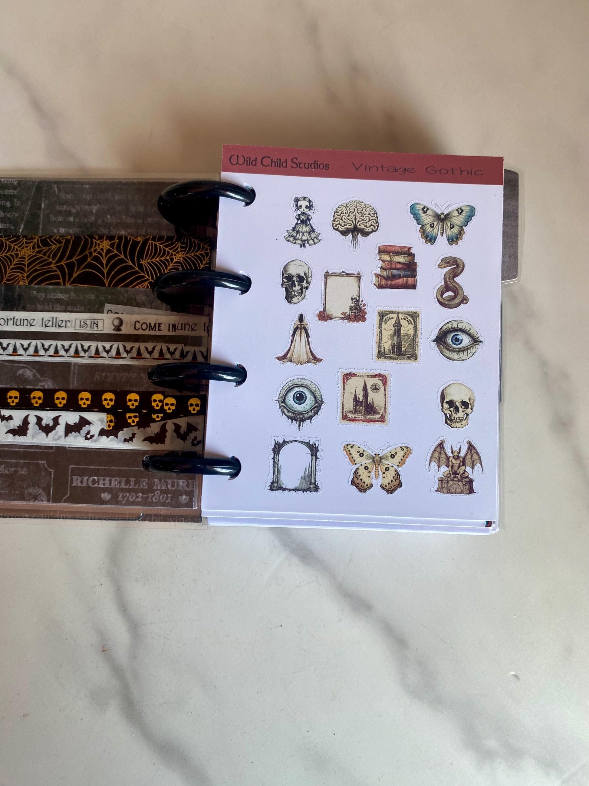 Halloween Oddities Happy Planner Micro Planner
