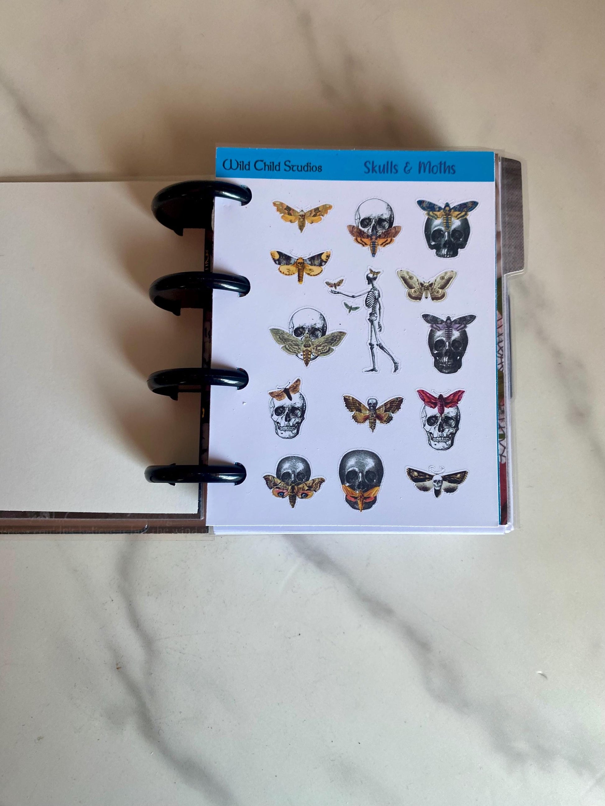 Halloween Oddities Happy Planner Micro Planner