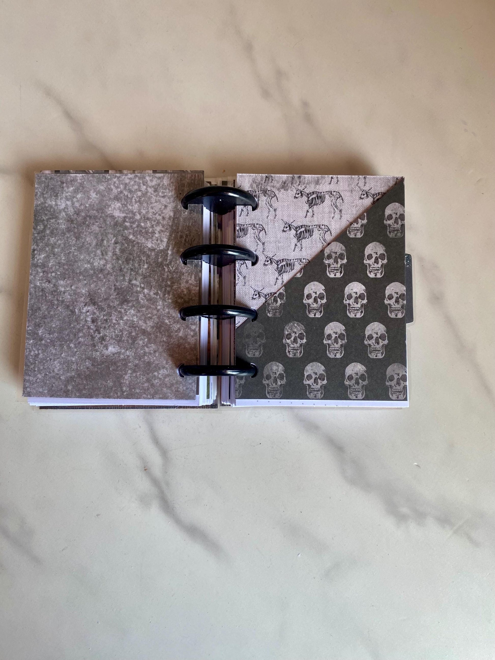 Halloween Oddities Happy Planner Micro Planner