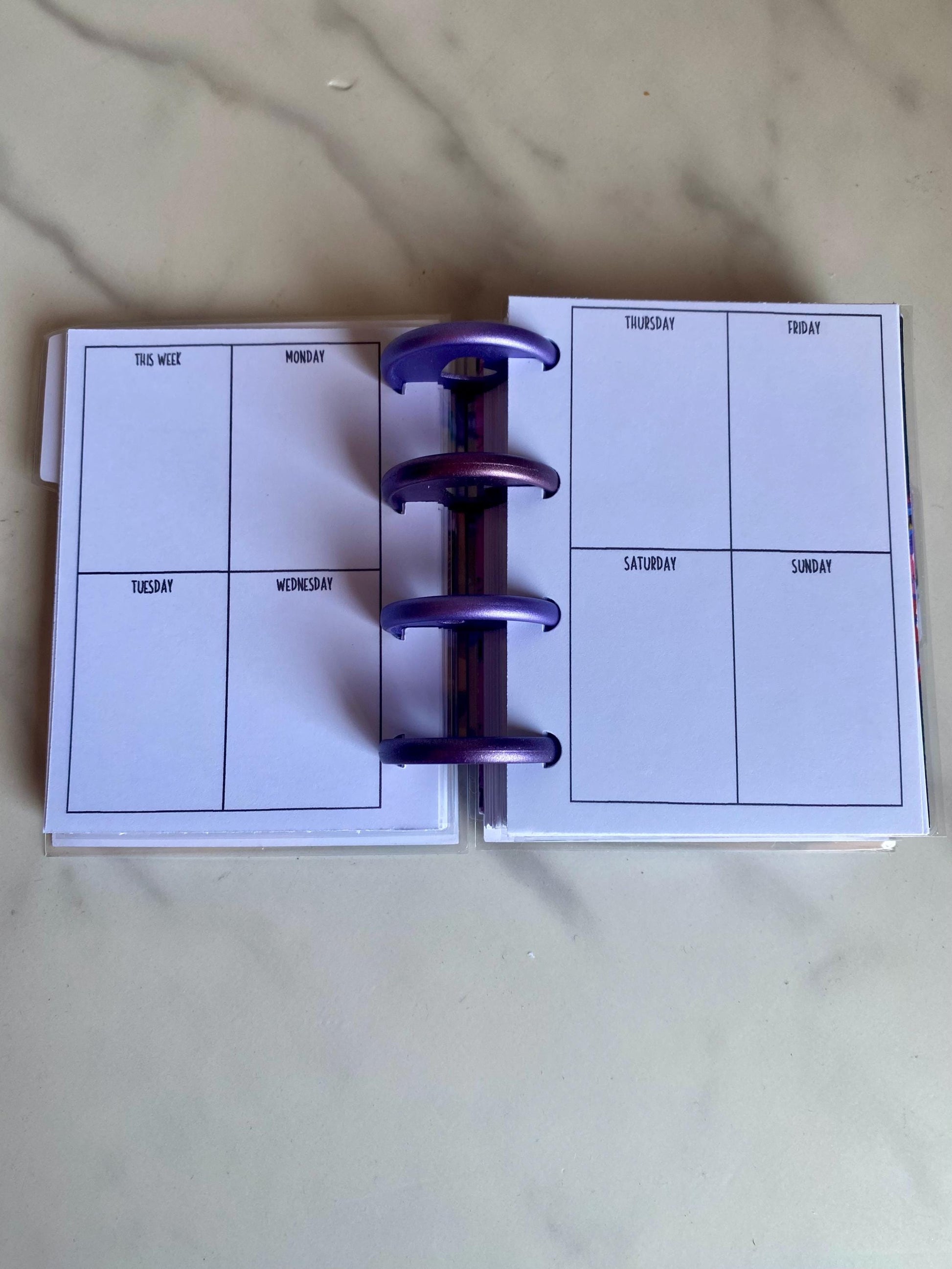 Beetlejuice Inspired Happy Planner Micro Planner