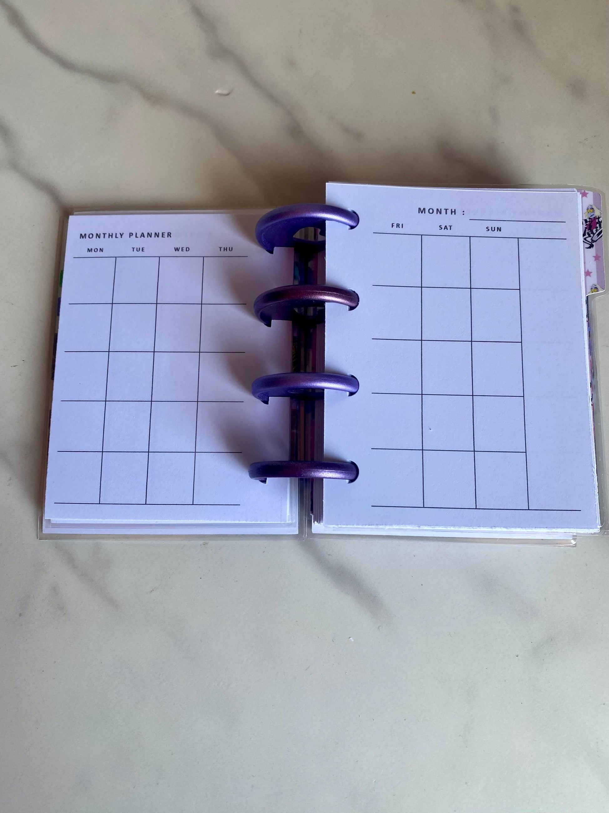 Beetlejuice Inspired Happy Planner Micro Planner