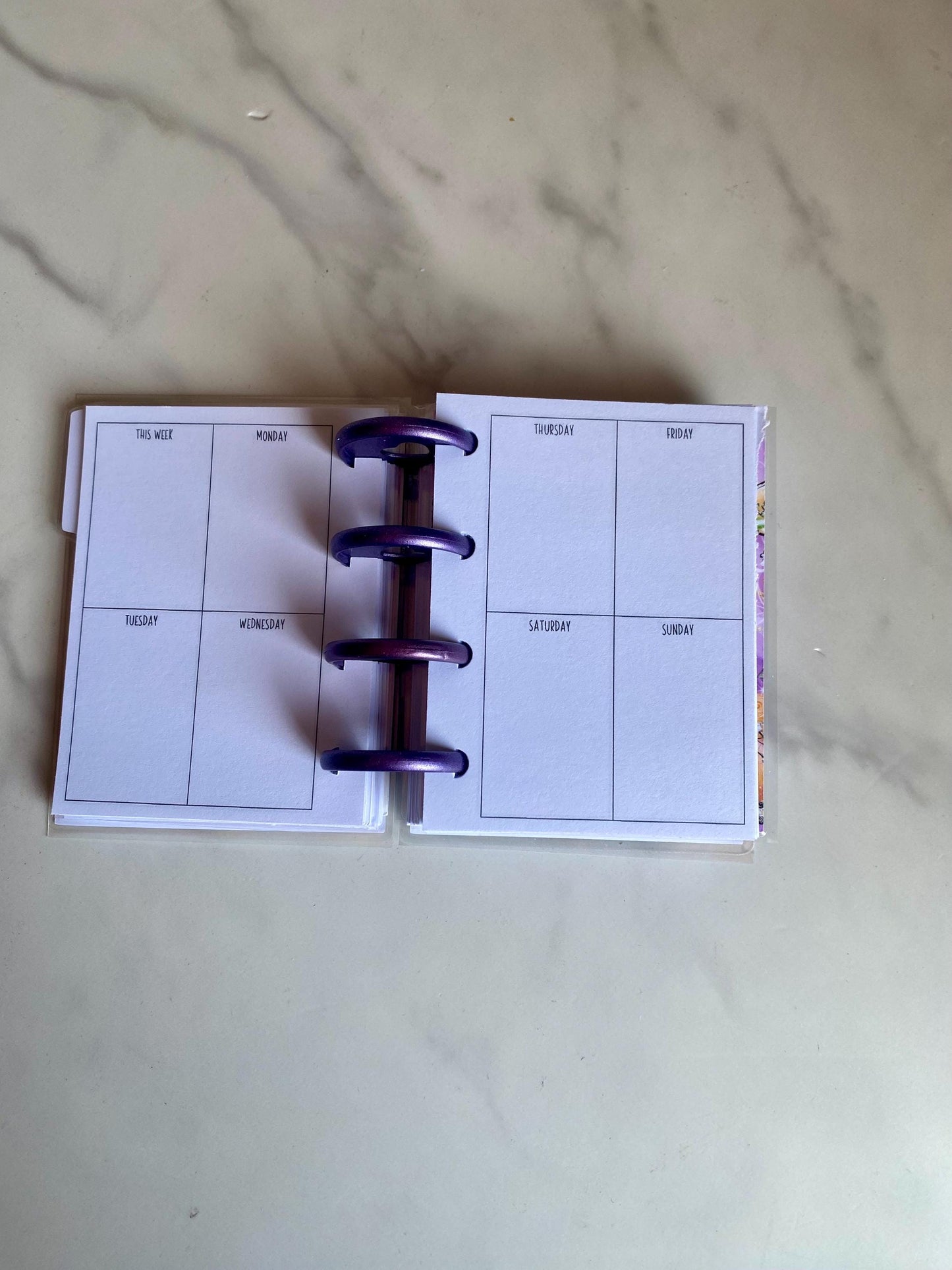 Wicked In Wonderland Inspired Happy Planner Micro Planner