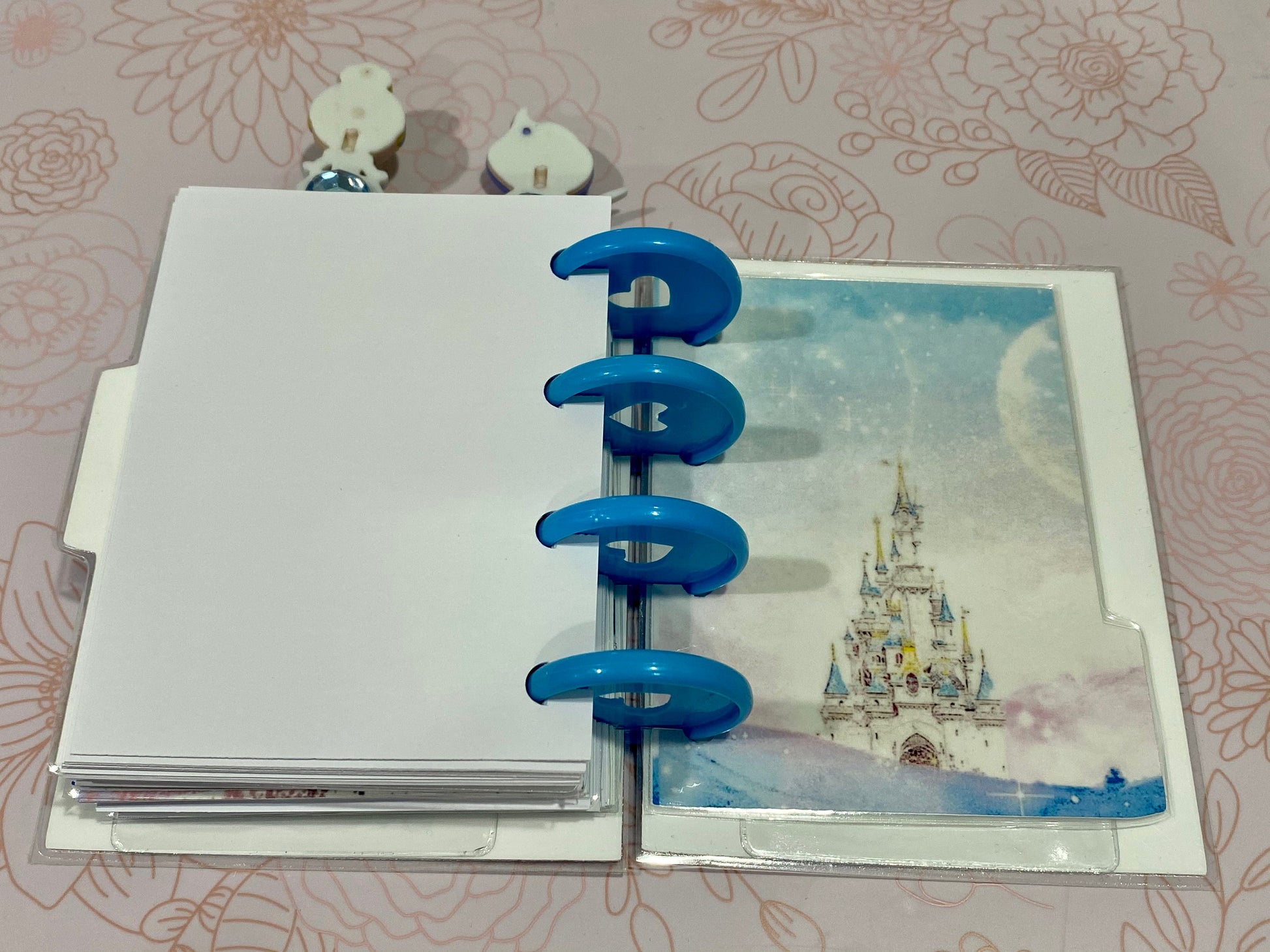Cinderella Happy Planner Micro Planner